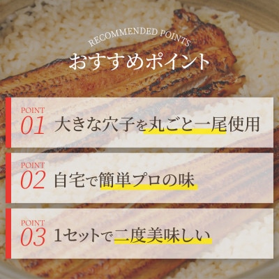 【穴子 一尾丸ごと】ごちそう穴子めし【2合セット】