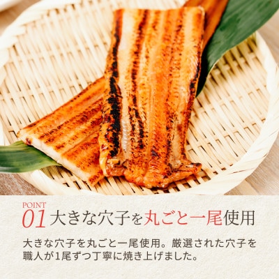 【穴子 一尾丸ごと】ごちそう穴子めし【2合セット】