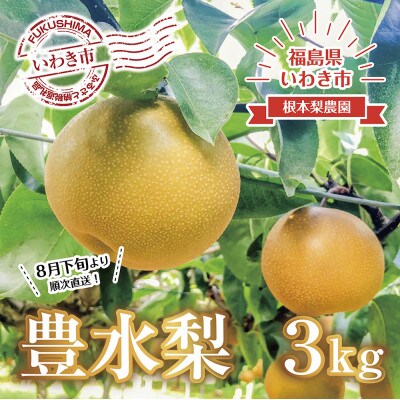 【令和5年度先行受付】数量限定　福島県いわき市産(豊水)3kg