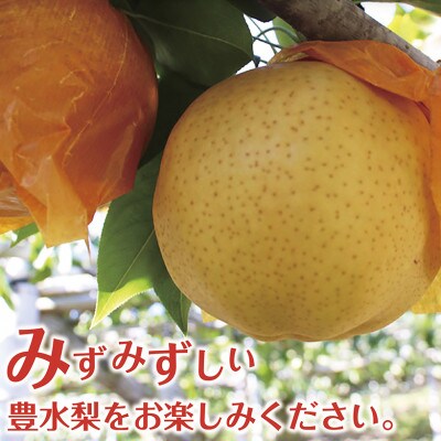 【令和5年度先行受付】数量限定　福島県いわき市産(豊水)3kg