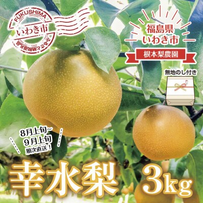 【無地熨斗】【令和5年度先行受付】数量限定　福島県いわき市産(幸水)3kg