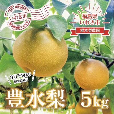 【令和5年度先行受付】数量限定　福島県いわき市産(豊水)5kg