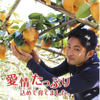 【令和5年度先行受付】数量限定　福島県いわき市産(豊水)5kg