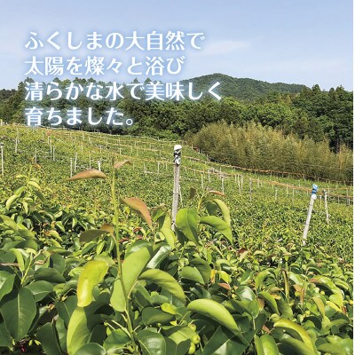 【令和5年度先行受付】数量限定　福島県いわき市産(豊水)5kg