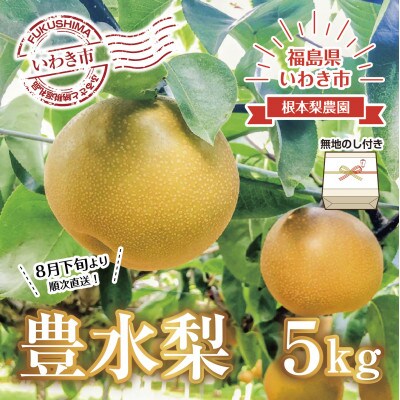 【無地熨斗】【令和5年度先行受付】数量限定　福島県いわき市産(豊水)5kg
