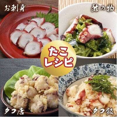 【無地熨斗付き】真蛸(蒸しボイルたこ)　500g×2杯　調理簡単で便利!おかずの一品やお酒のお供に!