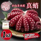 【無地熨斗付き】真蛸(蒸しボイルたこ)1kg×1杯　　調理簡単で便利!おかずの一品やお酒のお供に!