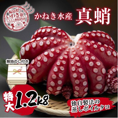 【無地熨斗付き】　真蛸(蒸しボイルたこ)大1.2kg!　調理簡単で便利!おかずの一品やお酒のお供に!