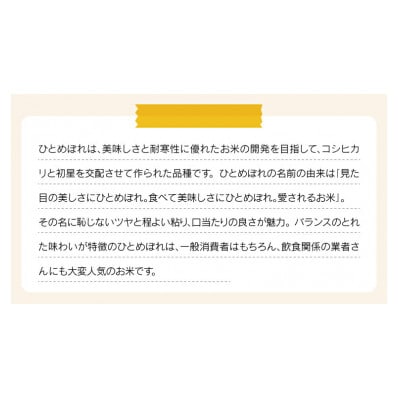 令和7年産 福島県産ひとめぼれ 精米 9kg (9kg×1袋)