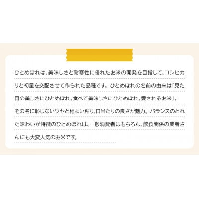 令和7年産 福島県産ひとめぼれ 精米 27kg(9kg×3袋)