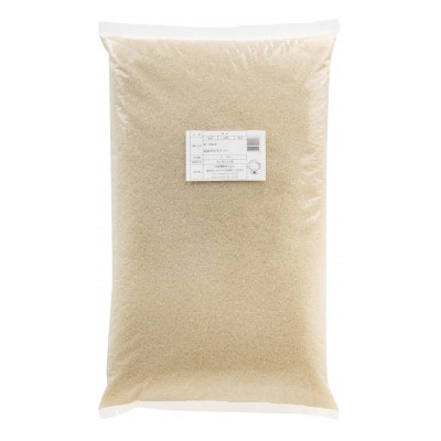 令和7年産 福島県産天のつぶ 精米 9kg(9kg×1袋)