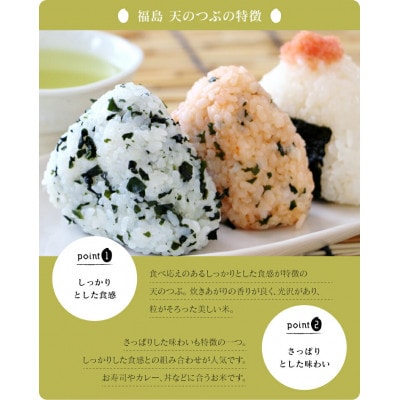 令和7年産 福島県産天のつぶ 精米 18kg(9kg×2袋)