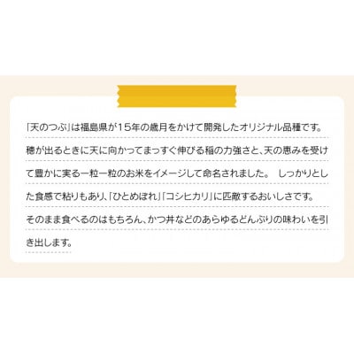 令和7年産 福島県産天のつぶ 精米 18kg(9kg×2袋)