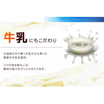 いわき市産のフルーツを使った自然派ジェラート12個入セット