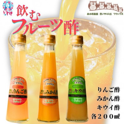 フクハウス飲むフルーツ酢3本Bセット