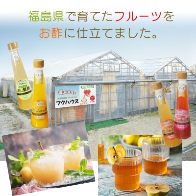 フクハウス飲むフルーツ酢5本Aセット