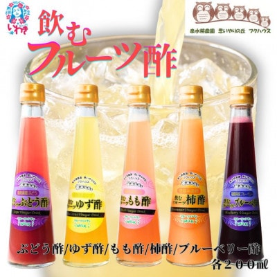 フクハウス飲むフルーツ酢5本Bセット