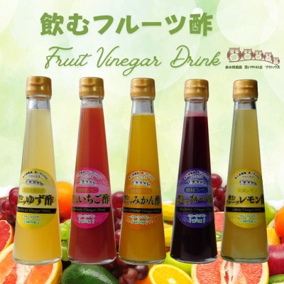 フクハウス飲むフルーツ酢5本Cセット