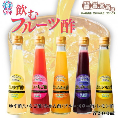 フクハウス飲むフルーツ酢5本Cセット