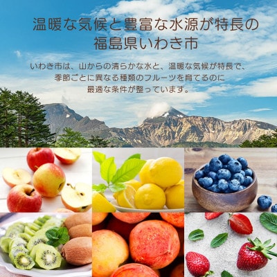 フクハウス飲むフルーツ酢5本Cセット