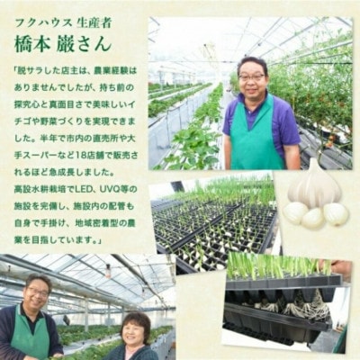 フクハウスにんにく調味料6種各1個セット