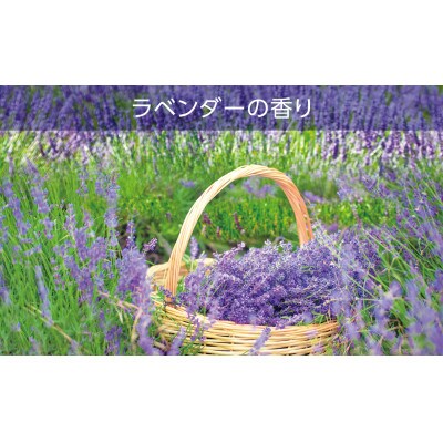 空気をかえようエステー　トイレの消臭力　ラベンダー6個セット