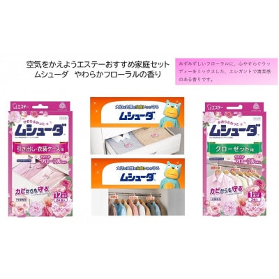 空気をかえようエステーおすすめ家庭セット