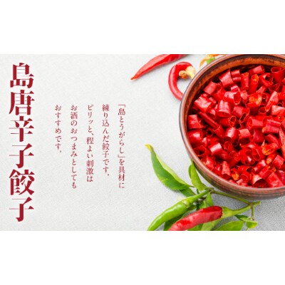 沖縄県産島唐辛子餃子100個セット お礼品詳細 ふるさと納税なら さとふる