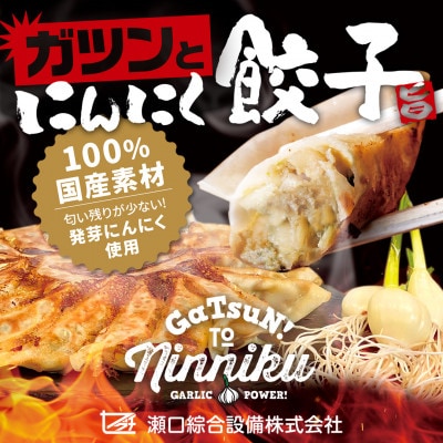 岐阜県海津市産　栄養価満載!臭い残り少ない!発芽にんにく使用　「ガツンとにんにく餃子」2パック