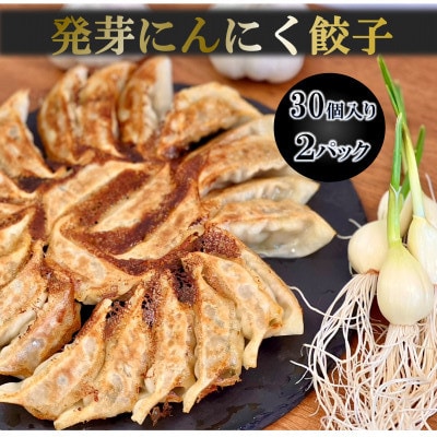 岐阜県海津市産　栄養価満載!臭い残り少ない!発芽にんにく使用　「ガツンとにんにく餃子」2パック