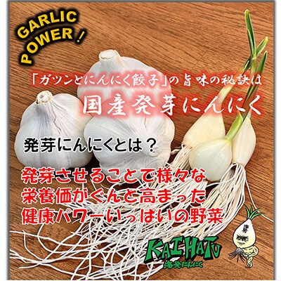 岐阜県海津市産　栄養価満載!臭い残り少ない!発芽にんにく使用　「ガツンとにんにく餃子」2パック