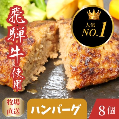 飛騨牛入りハンバーグ