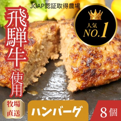 飛騨牛入りハンバーグ