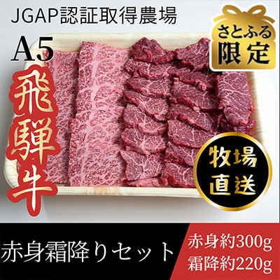 【さとふる限定】飛騨牛　赤身霜降り焼肉セット