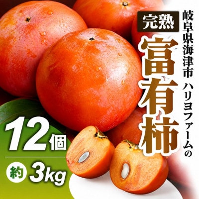 岐阜県海津市産 富有柿 2L～3L 12個入り 約3kg