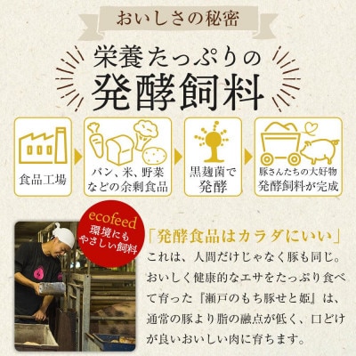 瀬戸内育ち“極上”の豚肉「瀬戸のもち豚」ポークジャーキー