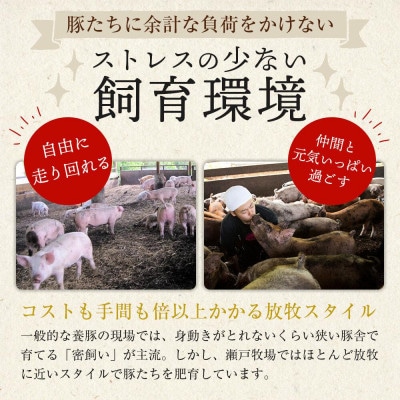 瀬戸内育ち“極上”の豚肉「瀬戸のもち豚」ポークジャーキー