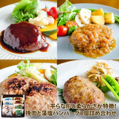 和牛入り!挽肉と藻塩ハンバーグ4種合計8個(生2個、プレーン2個、デミグラス2個、和風オニオン2個)