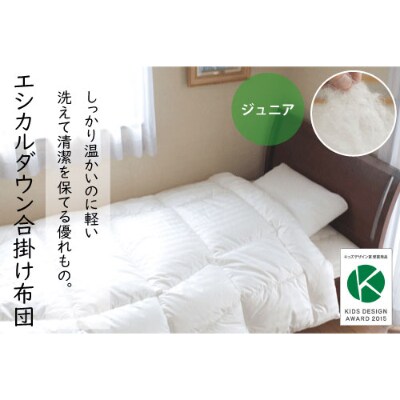 洗える ホコリが出にくい『合い掛け布団』〈ジュニア〉
