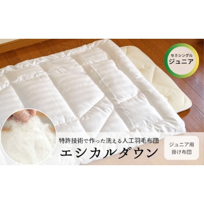 洗える ホコリが出にくい『掛け布団』〈ジュニア〉