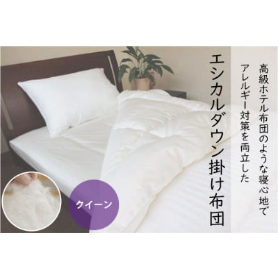洗える ホコリが出にくい『掛け布団』〈クイーン〉