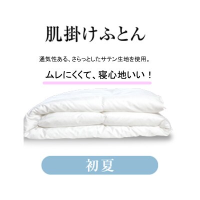 蒸れない羽毛のホコリも気にならない人工 羽毛肌布団・エシカルダウンリッチ肌掛け(Q)