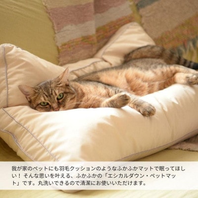 丸洗いOK!ホコリの出にくい『ペットマット』