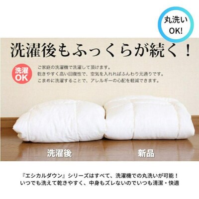 丸洗いOK!ホコリの出にくい『ペットマット』