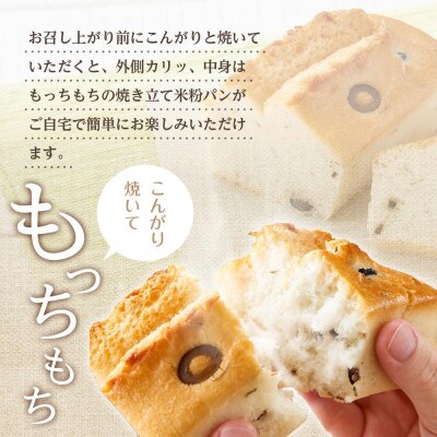 無添加 グルテンフリー 米粉パン2種類(プレーン、オリーブ&ローズマリー)お試し 食べ比べセット