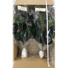 備後・榊(サカキ)切り枝 1束サイズ1セット(2束入り)(福山市)