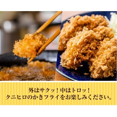カレー風味かきフライ(25g×24粒)