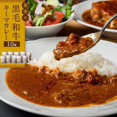 秘密の黒毛和牛キーマカレー 10袋