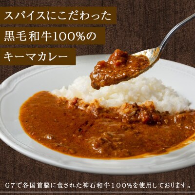 秘密の黒毛和牛キーマカレー 10袋