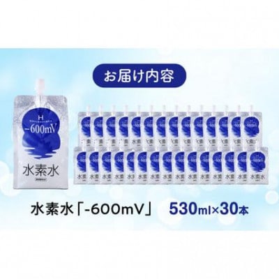 水素水 530ml×30本 パウチ